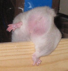 abgerutscht.JPG abgerutscht.JPG