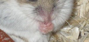 IMG_2460.JPG IMG_2460.JPG