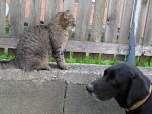 Bilder Dorothee 036.JPG