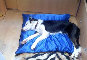 Kopie von 101108_085322.jpg