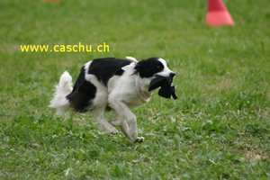 853_5385.jpg 853_5385.jpg