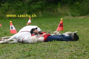 853_5390.jpg 853_5390.jpg