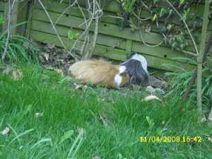 Kamerabilder 024.jpg