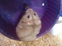 2010-10-29 11.28jhk.JPG