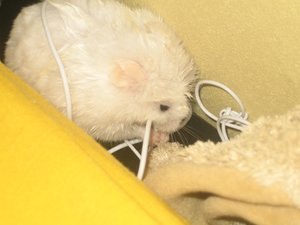 IMG_4220.JPG IMG_4220.JPG