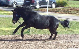 Kopieren von Kopie von Kopie von 105_1163.JPG