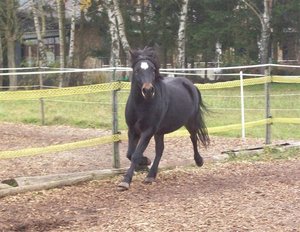 105_1524 (Large).JPG