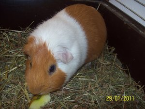 100_3710.JPG 100_3710.JPG