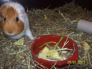 100_3728.JPG 100_3728.JPG