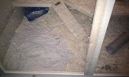 käfig4.JPG käfig4.JPG