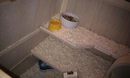 käfig3.JPG käfig3.JPG