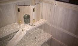 käfig2.JPG käfig2.JPG