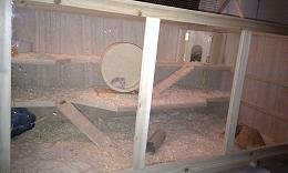 käfig.JPG käfig.JPG