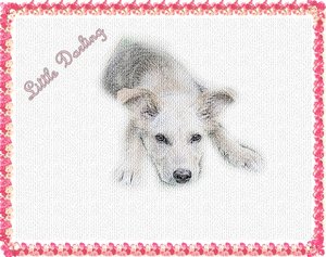 Cindy wallpaper2.jpg