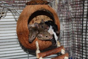 DSC_5788 - Kopie.JPG