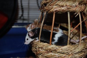 DSC_8381 - Kopie.JPG