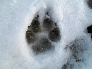 FEBRUAR 2011 098.JPG