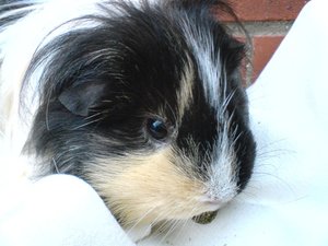 Kamerabilder 258.jpg