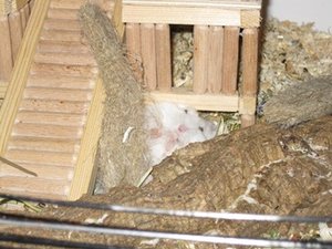 auf dem rÃ¼cken kÃ¤mpfen.JPG