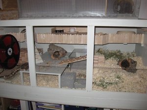 komplett von rechts.JPG