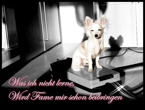 fame staubsaauger.jpg