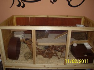 Käfig02-klein.jpg Käfig02-klein.jpg