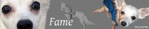 Fame88.jpg