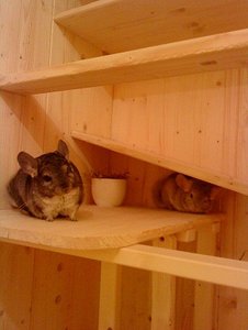 bild 3333333333333333333333333333333.jpg