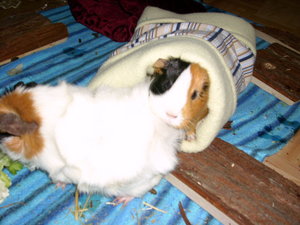 lilly & rosi 001.jpg