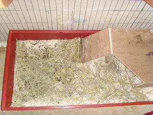 Kaefig_24h.jpg Kaefig_24h.jpg