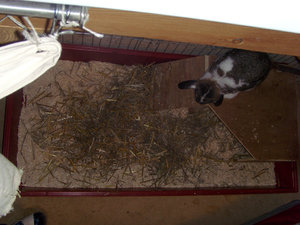 Kaefig_sauber.jpg Kaefig_sauber.jpg