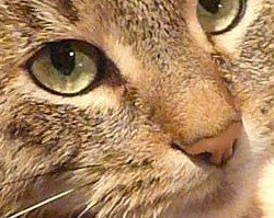 P1050960 tierforum.jpg