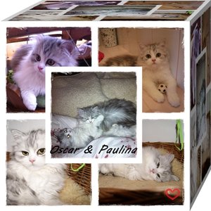 Oscar & Paulina WÃ¼rfel.jpg