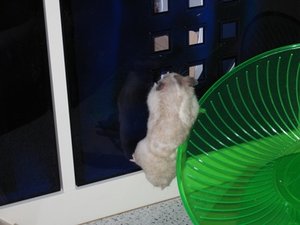 McGee was ist da drin.JPG