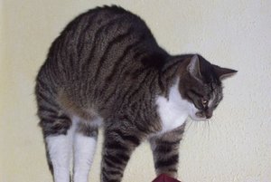 mit neuem foto.jpg (18).JPG