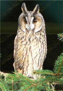 27-08-05 Von.jpg 27-08-05 Von.jpg