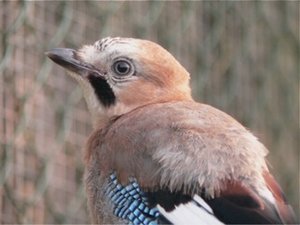 Juni 2010 gross1.jpg Juni 2010 gross1.jpg