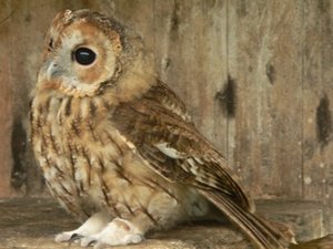 P1130317.jpg P1130317.jpg