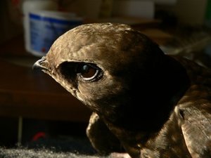 P1220120.jpg P1220120.jpg