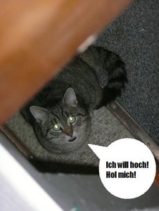 P1060241 carli tierforum.jpg