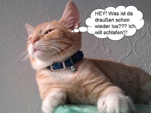 ich will schlafen.jpg