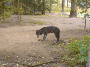 Kamerabilder 406.jpg