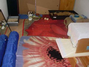 SL374764.jpg SL374764.jpg