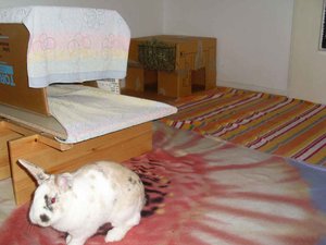 SL374769.jpg SL374769.jpg