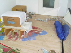 SL374772.jpg SL374772.jpg