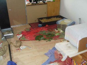 SL374773.jpg SL374773.jpg