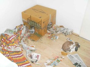 SL374774.jpg SL374774.jpg