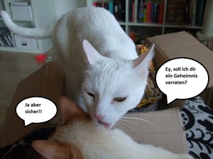 Geheimnis.jpg