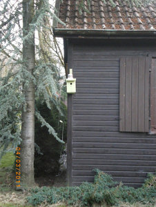 nistkasten-2.jpg