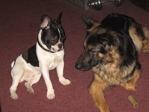 k-rosi&bruce 001.jpg